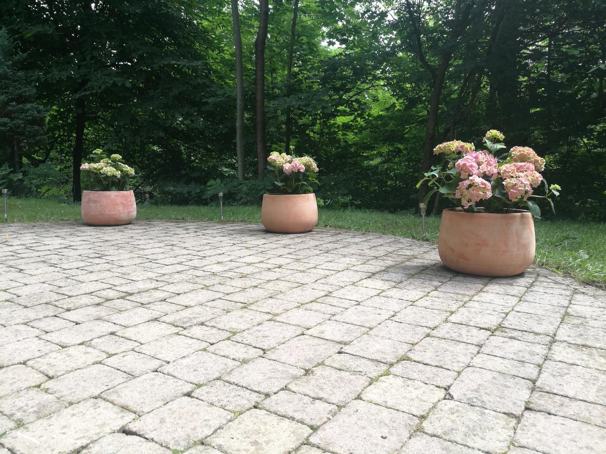 Apartments Bassanese Bled Exterior photo